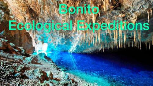 Hostel Ecological Expeditions
